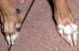 long_nails_after