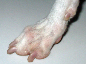 nails before grinding