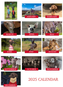 Photo call! Is your IG a potential star for our 2026 Wall Calendar?