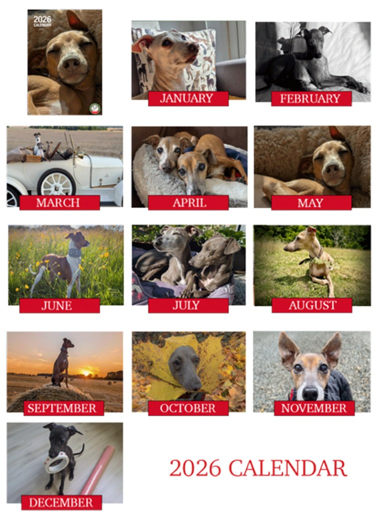 Wall Calendar by the IG Rescue Charity